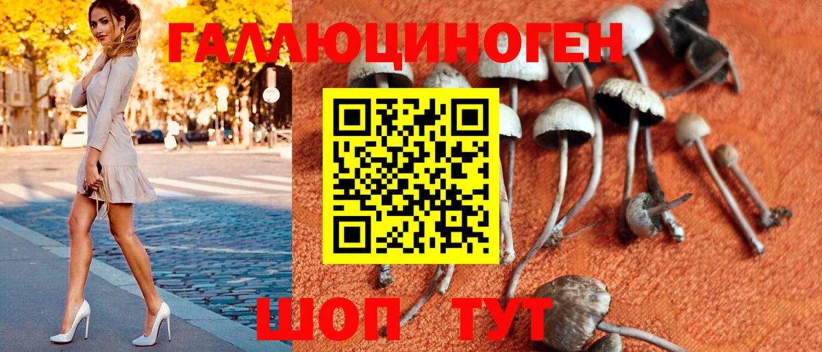 Псилоцибиновые грибы Psilocybe  Вход с VPN  Тара 