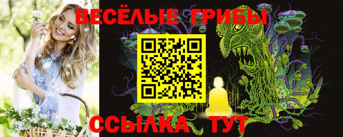Конопля  Тара  Cocaine  ГАШИШ  Альфа ПВП СК кристаллы  МЕФ кристаллы  Вход с VPN 