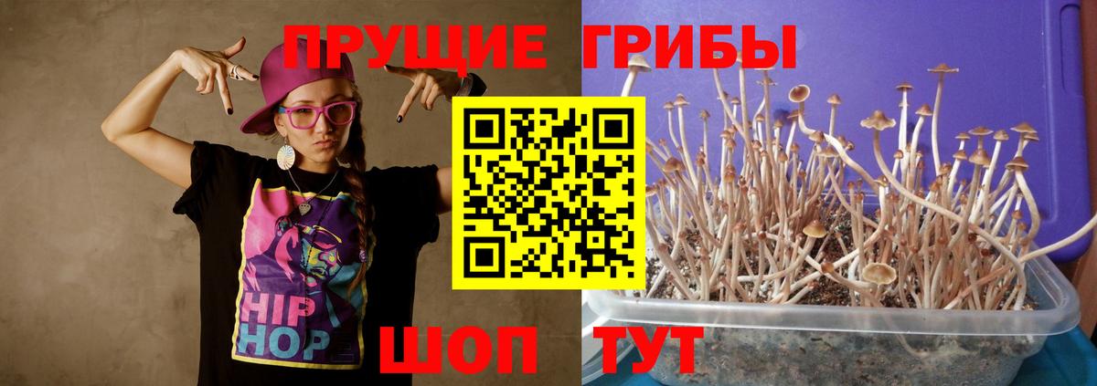 Псилоцибиновые грибы мухоморы Тара