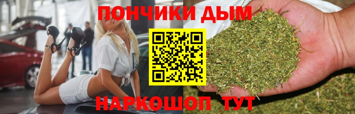 Тара  МАРИХУАНА конопля  Каннабис индика  Бошки марихуана гибрид  Бошки Шишки Bruce Banner  Вход с VPN 